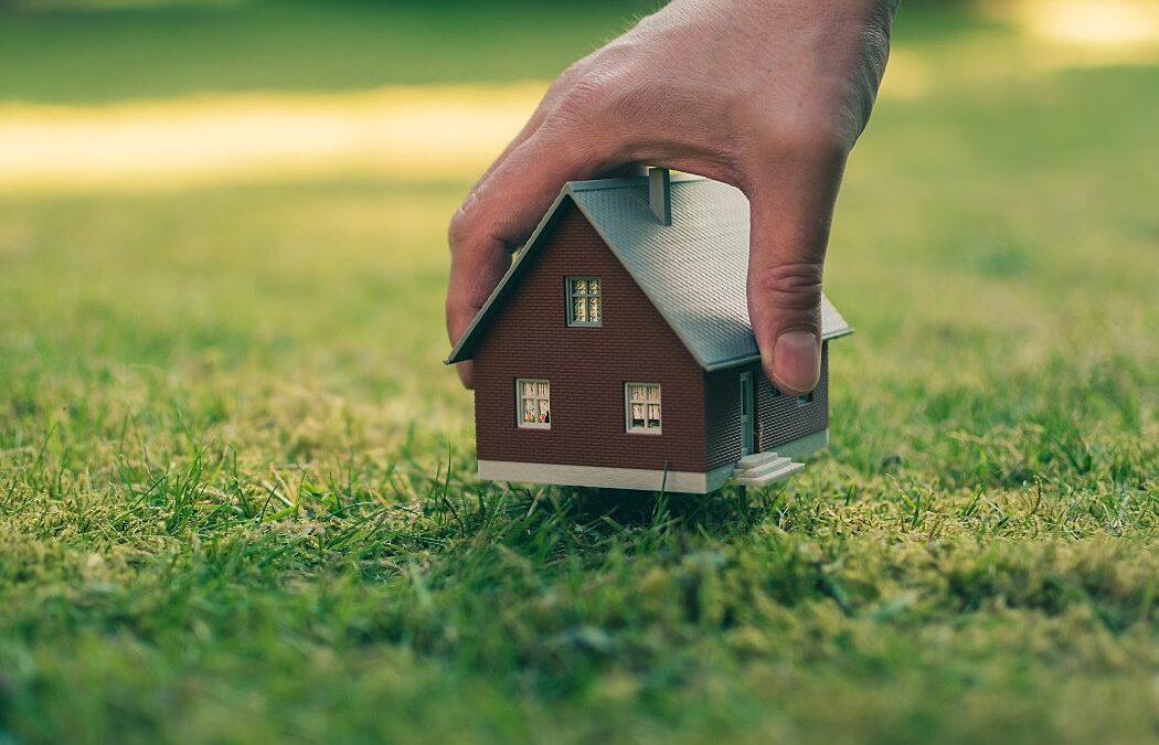 🌍 Conoce el valor de la tierra antes de construir